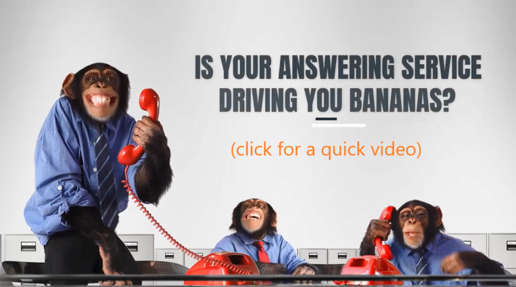 monkey's answering phones