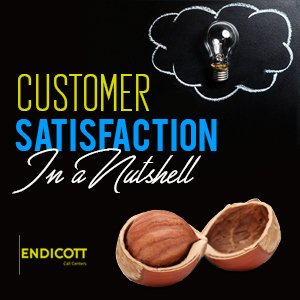 Customer Satisfaction in a Nutshell