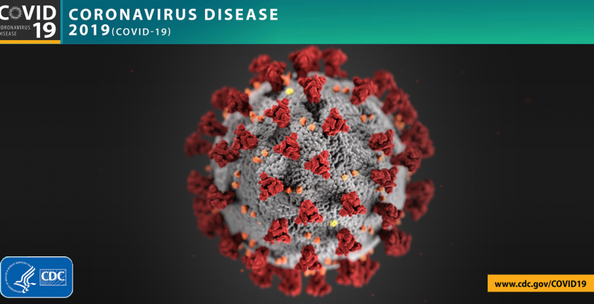 Coronavirus disease molecule